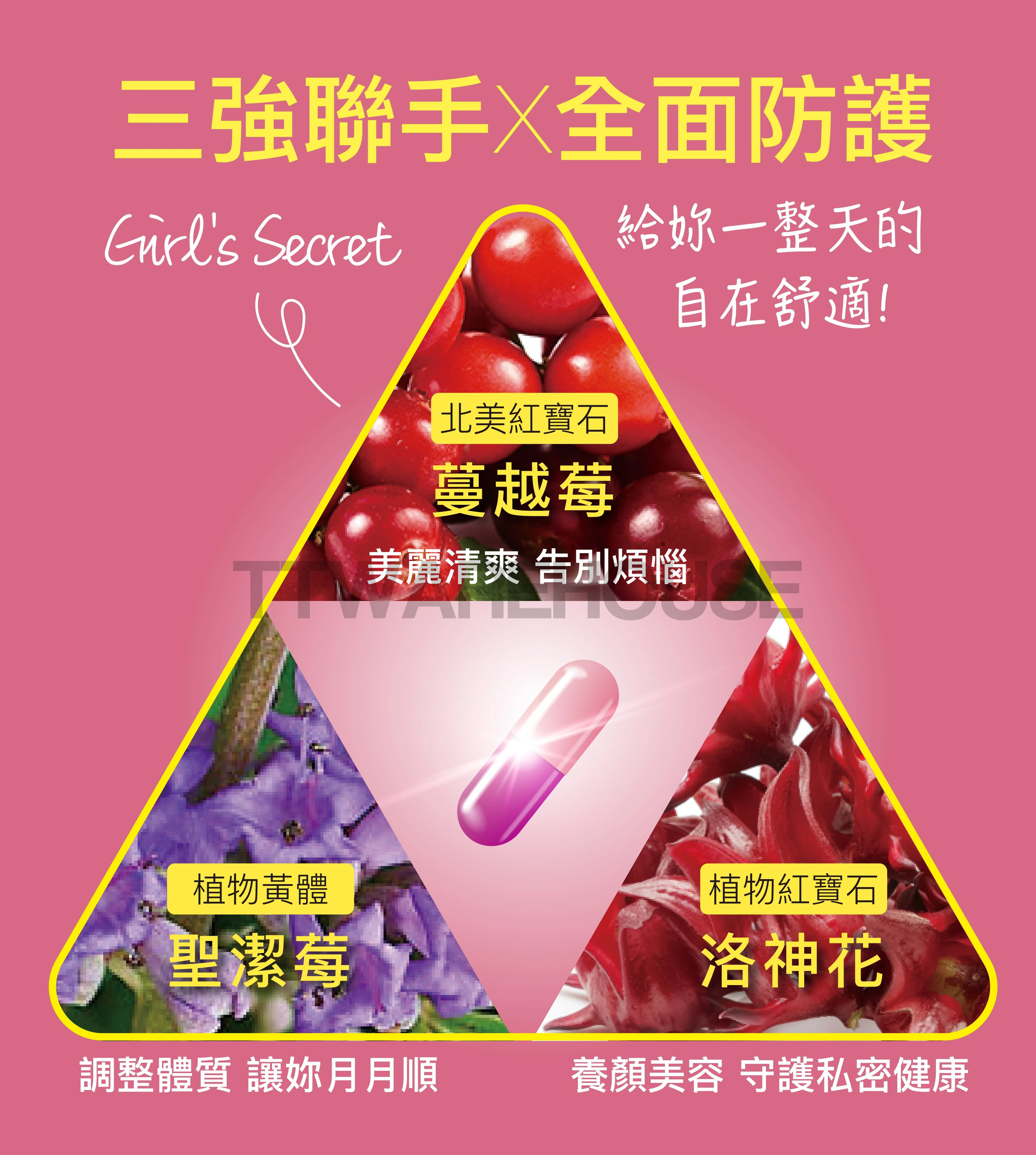 Aicom艾力康 科技保健 蔓越莓私密對策 Feminine care (60 CAPS) - Image 2