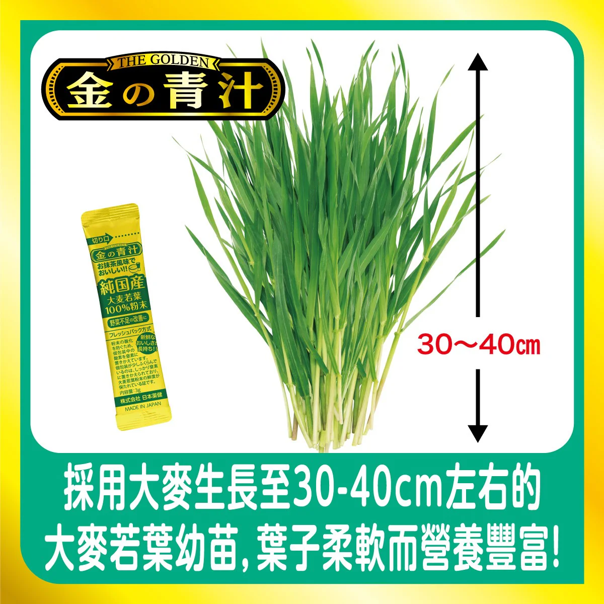 Barley Young Leaves 3g (176 Sachets) - Image 3